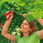 Градинска ножица RR 2500 Wolf Garten 4