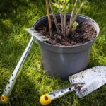 Градинско ръчно гребло - 5 зъба LJ-Z Wolf Garten 6