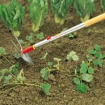 Мотичка сърцевидна IM-M Wolf Garten 2