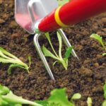 Мотичка сърцевидна IM-M Wolf Garten 3