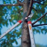 Ножица за клони Power Cut RS 650 с наковалня 3