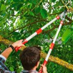 Ножица за клони Power Cut RS 900 Т 4